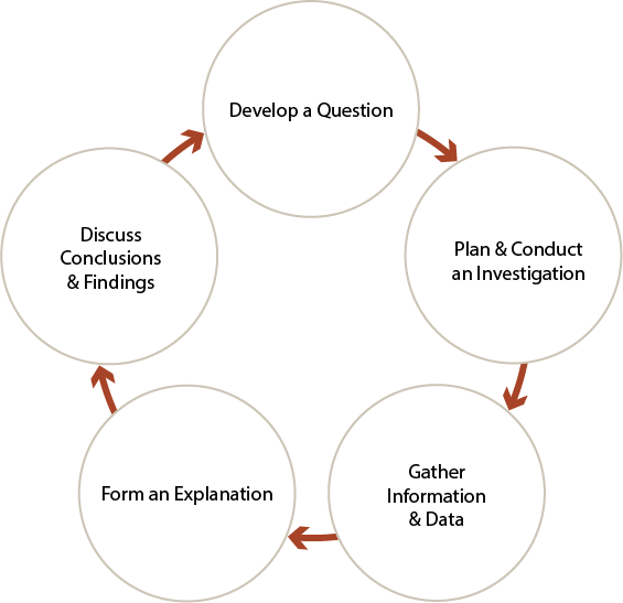 提出问题，计划并进行调查，收集信息和数据，形成解释，讨论结论和发现